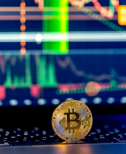 BrultexPro Informazioni sul Trading